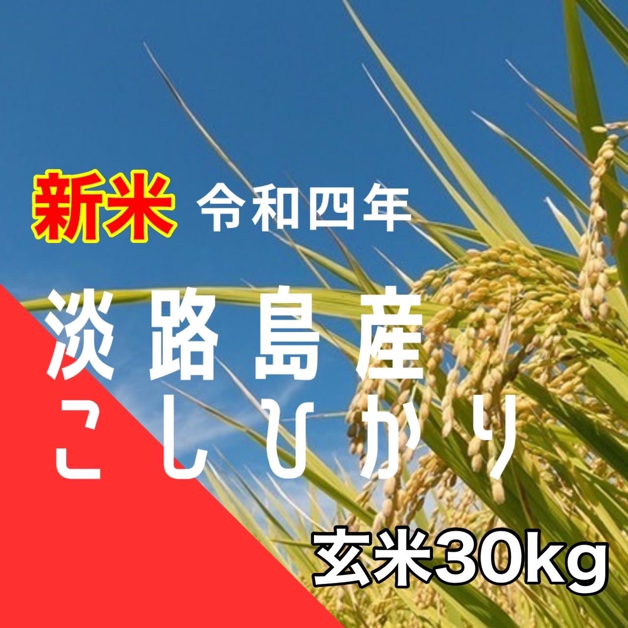 新米 令和5年 産 ハナエチゼン 玄米30キロ 淡路島 精米小分け可 30kg - 米