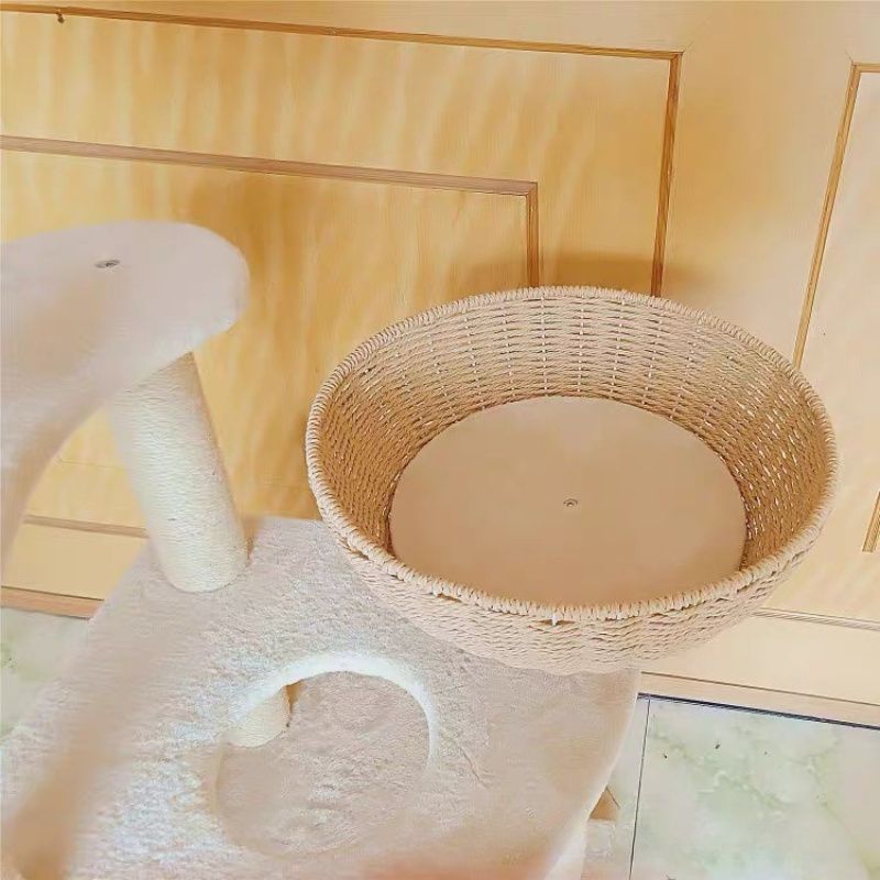 爪とぎ