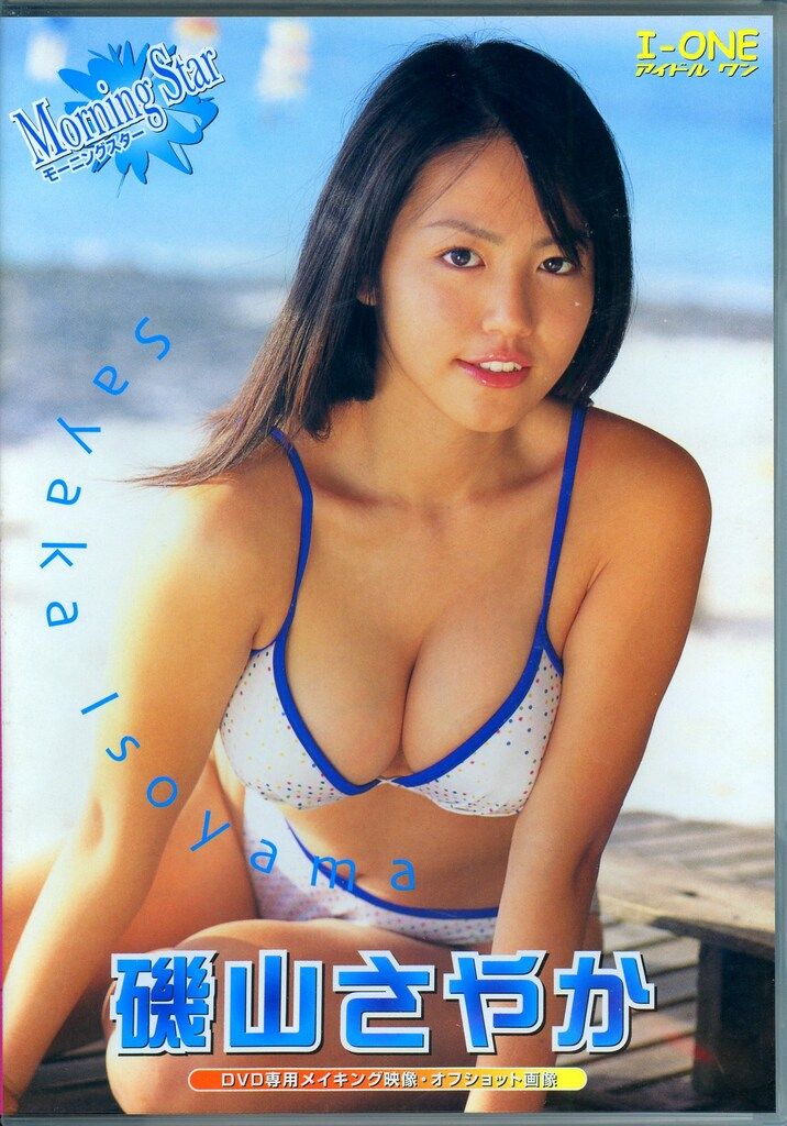 【未開封】磯山さやか　Special DVD-BOX　スペシャル　３本組セット セルDVD-BOX版【2ndハウス 5枚組】磯山さやか21歳 手島優23歳