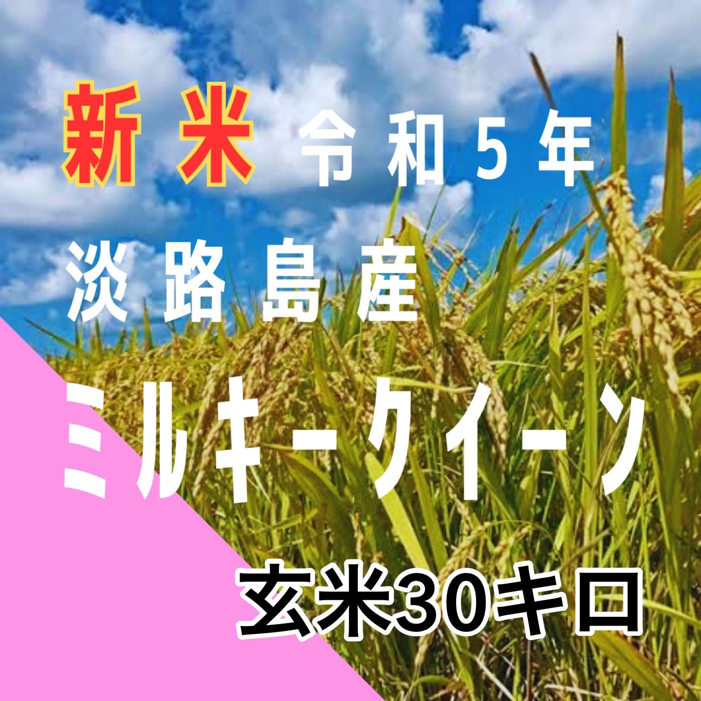 新米 令和5年産 ミルキークィーン 玄米30キロ 淡路島 小分け可30kg