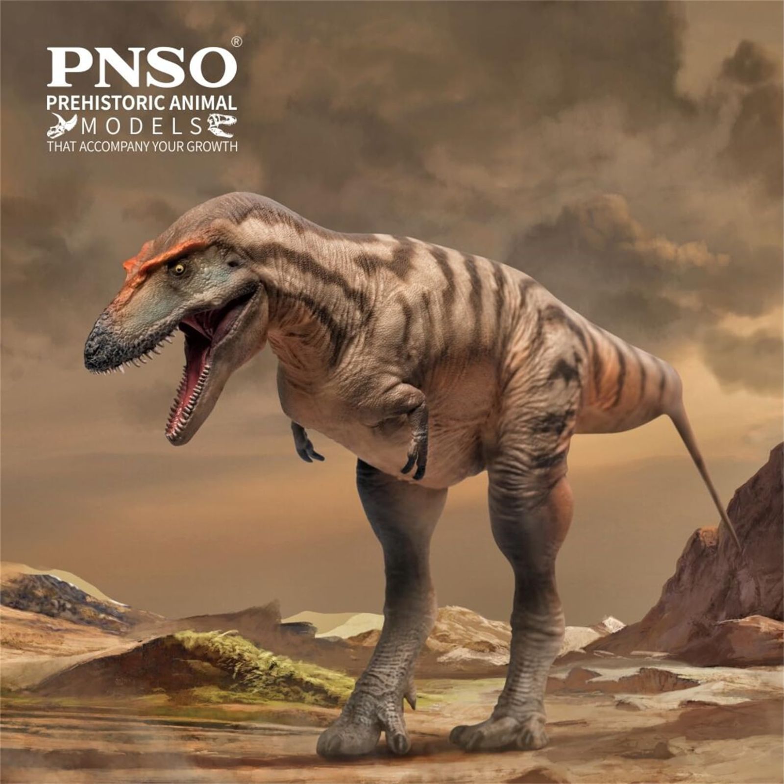 PNSO 成長シリーズ 71 ゴルゴサウルス フィギュア 恐ろしい