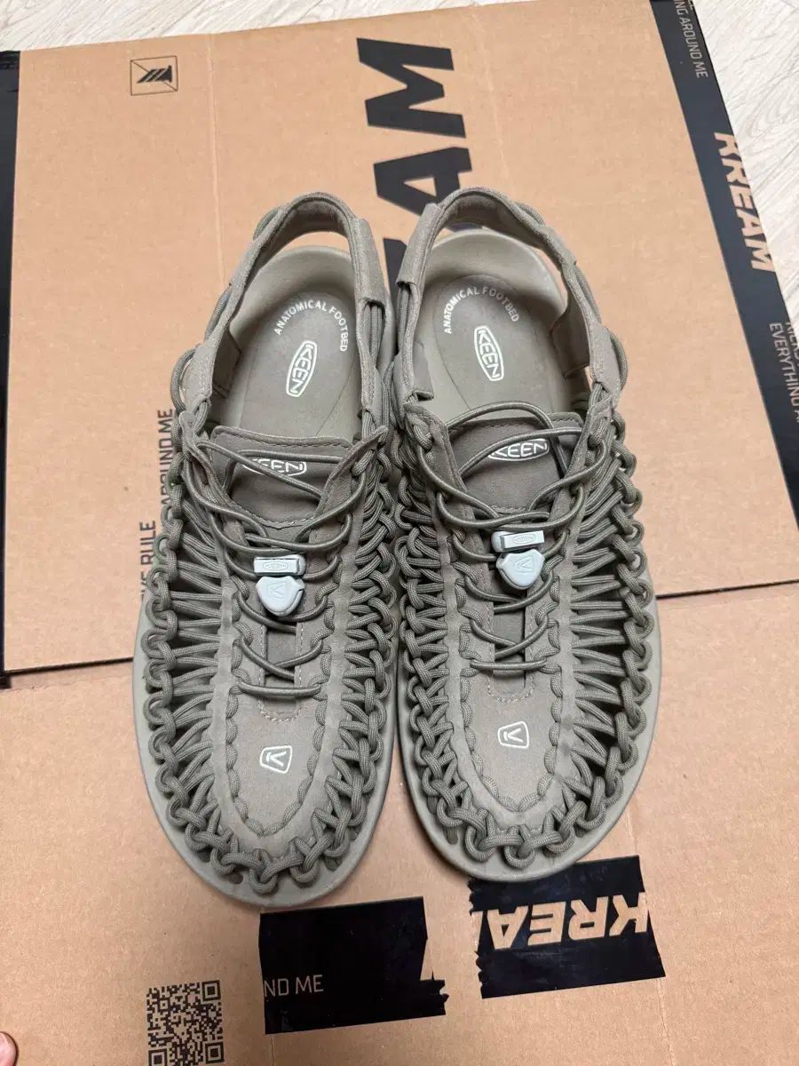 キーン KEEN ユニーク チーム ウルフ 280 mm