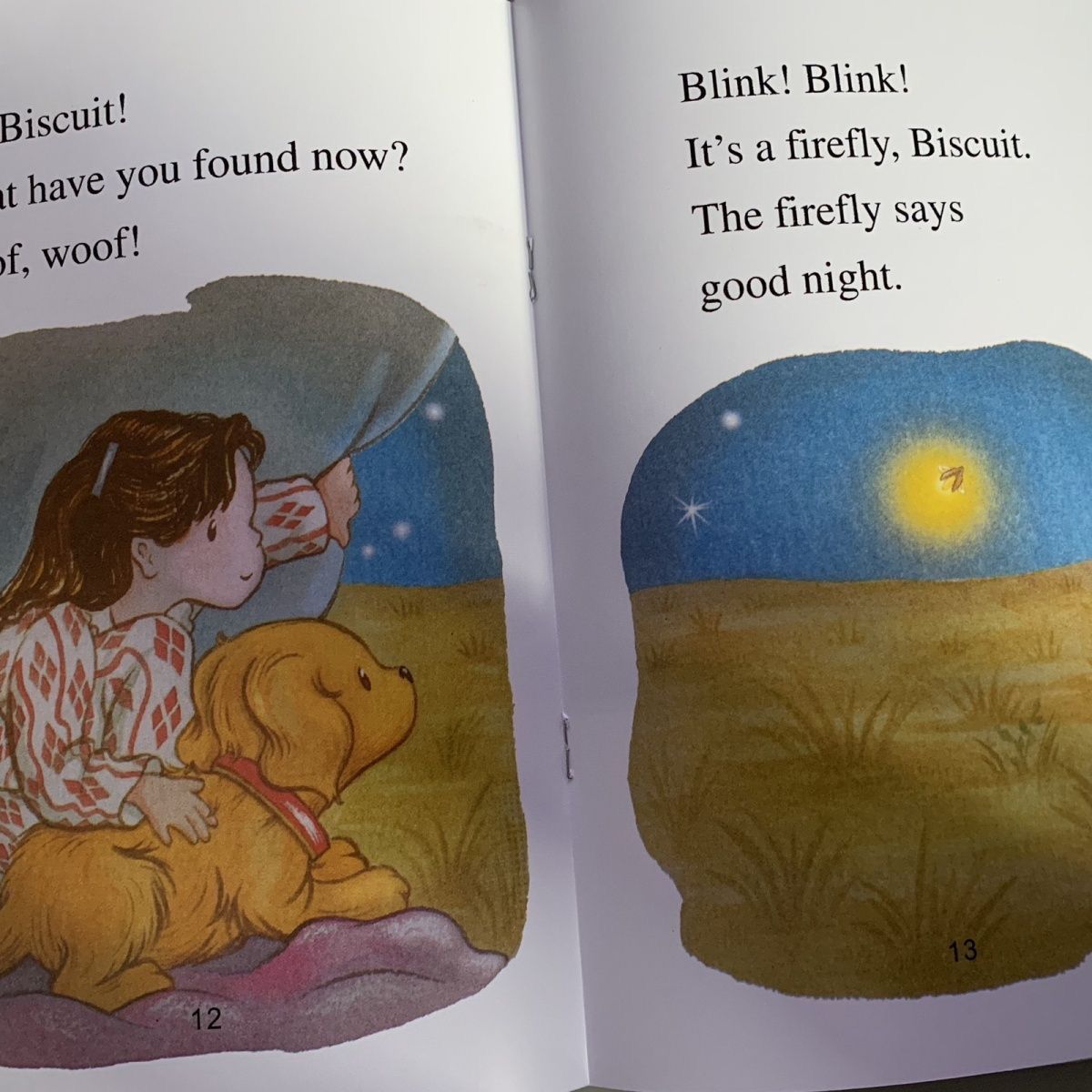 I can read! Phonics 29冊 Bisucuit 英語絵本 英語絵本 絵本勉強