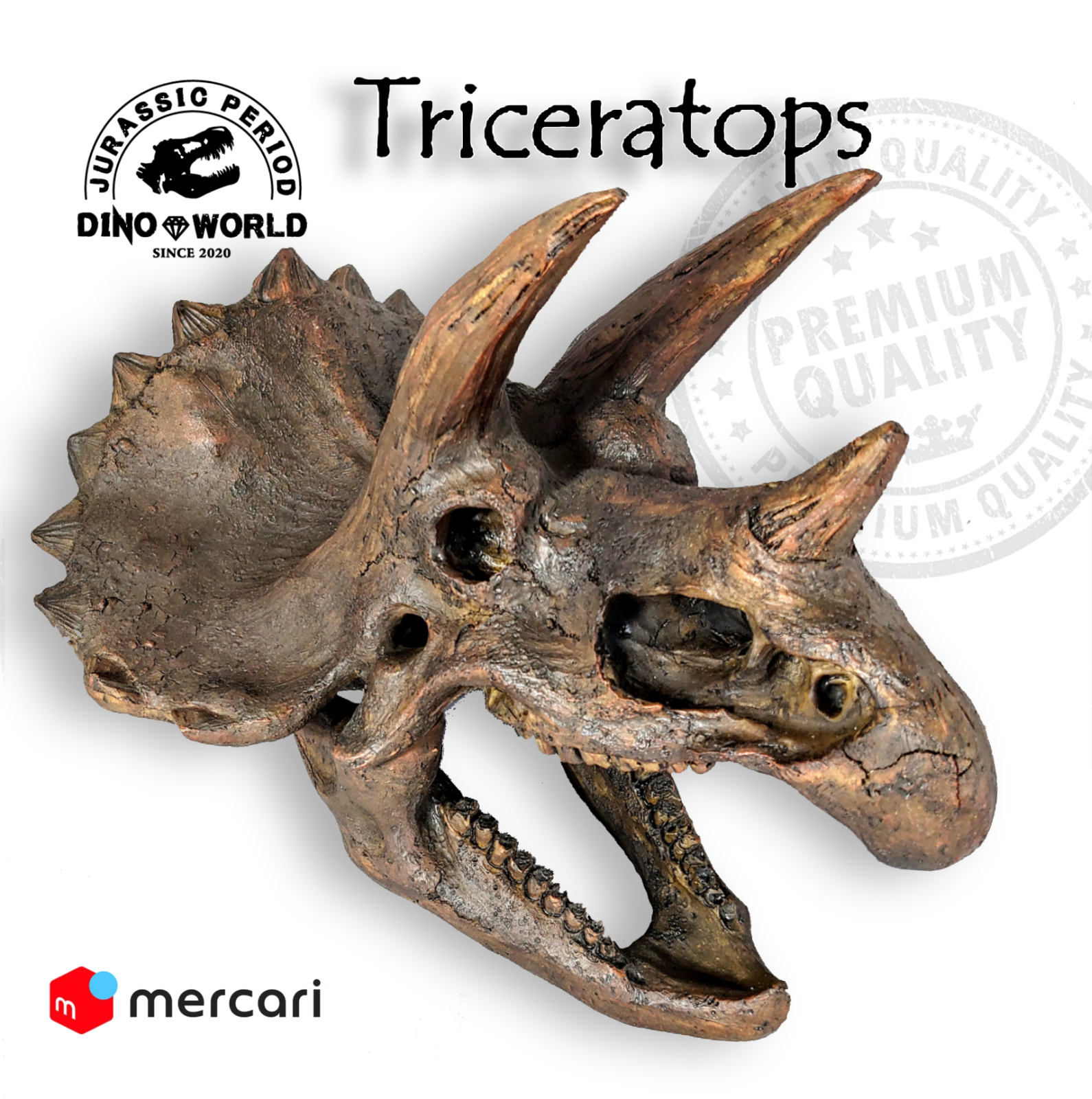 大迫力！【DinoWorld 】 トリケラトプス 頭骨 インテリアオブジェ | agb.md