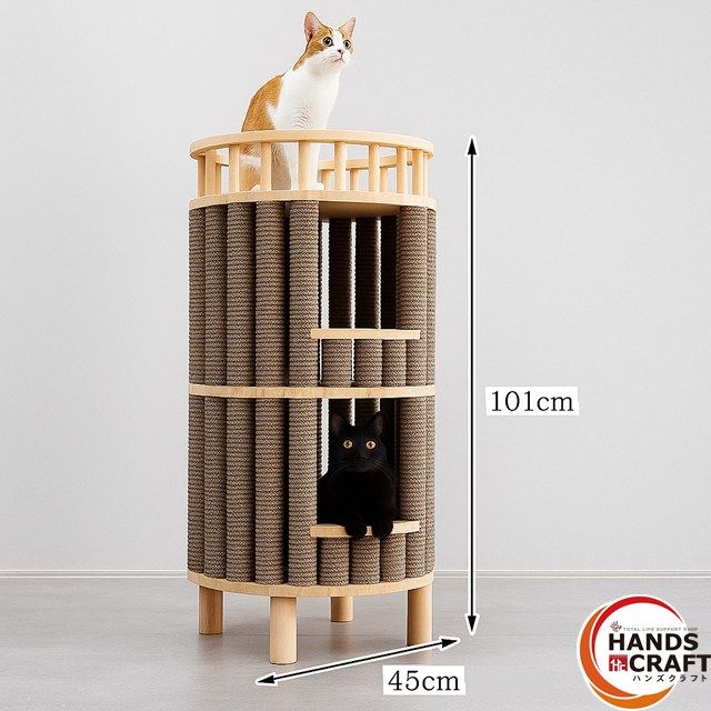 こころ検定2級対策】 メンタルケア心理士講座教材セット こころ検定 問題