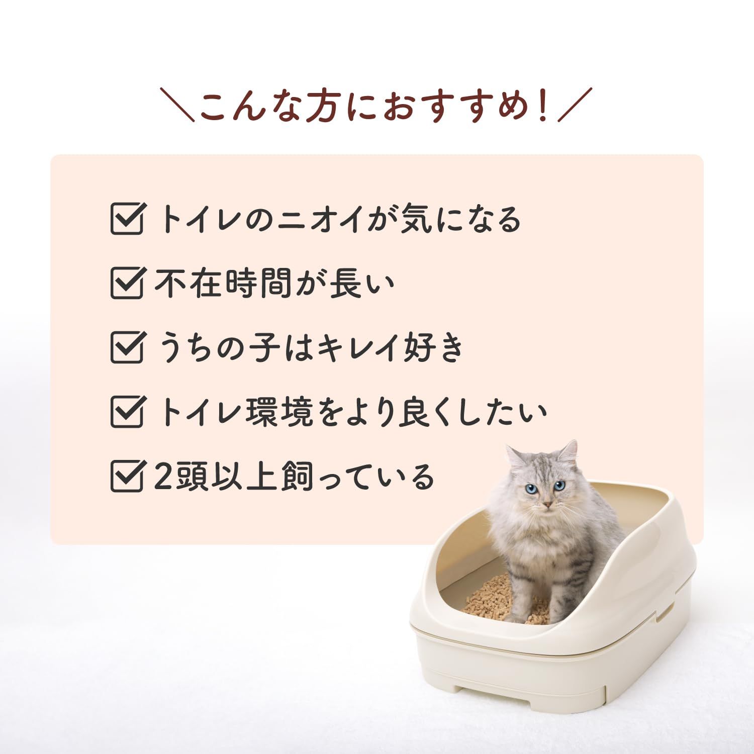 消臭力