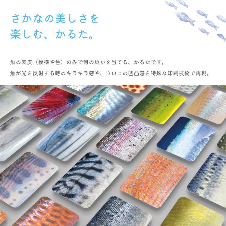 通常版 淡水魚版