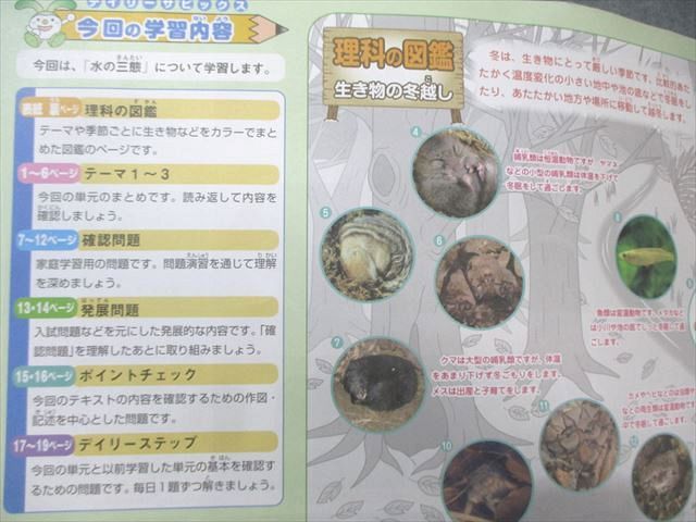 SAPIX 小5 サピックス デイリー/サマー 理科 通年セット 【計45回分