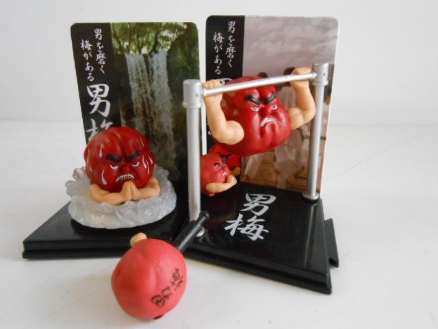♯Lni24CZ男梅心にしみるグッズコレクション全6種