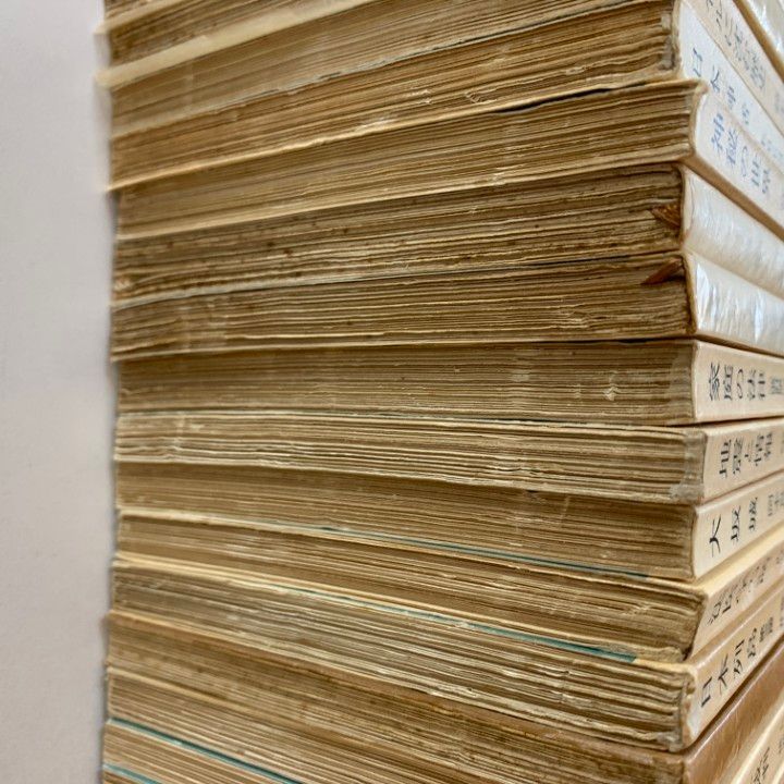 △01)【同梱不可】岩波新書 まとめ売り約50冊大量セット/本/物理