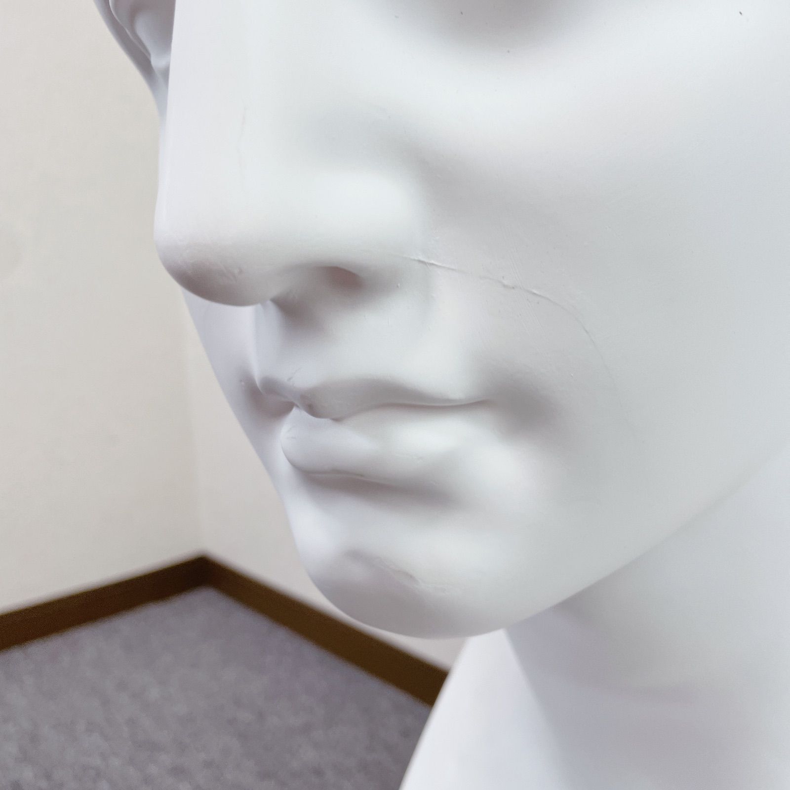 ミロのヴィーナス 石膏像 デッサン用 新日本造形 標準教材 - メルカリ