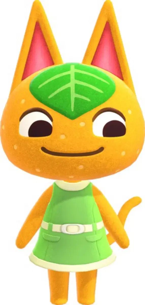 個人 これは購入ウィンドウです