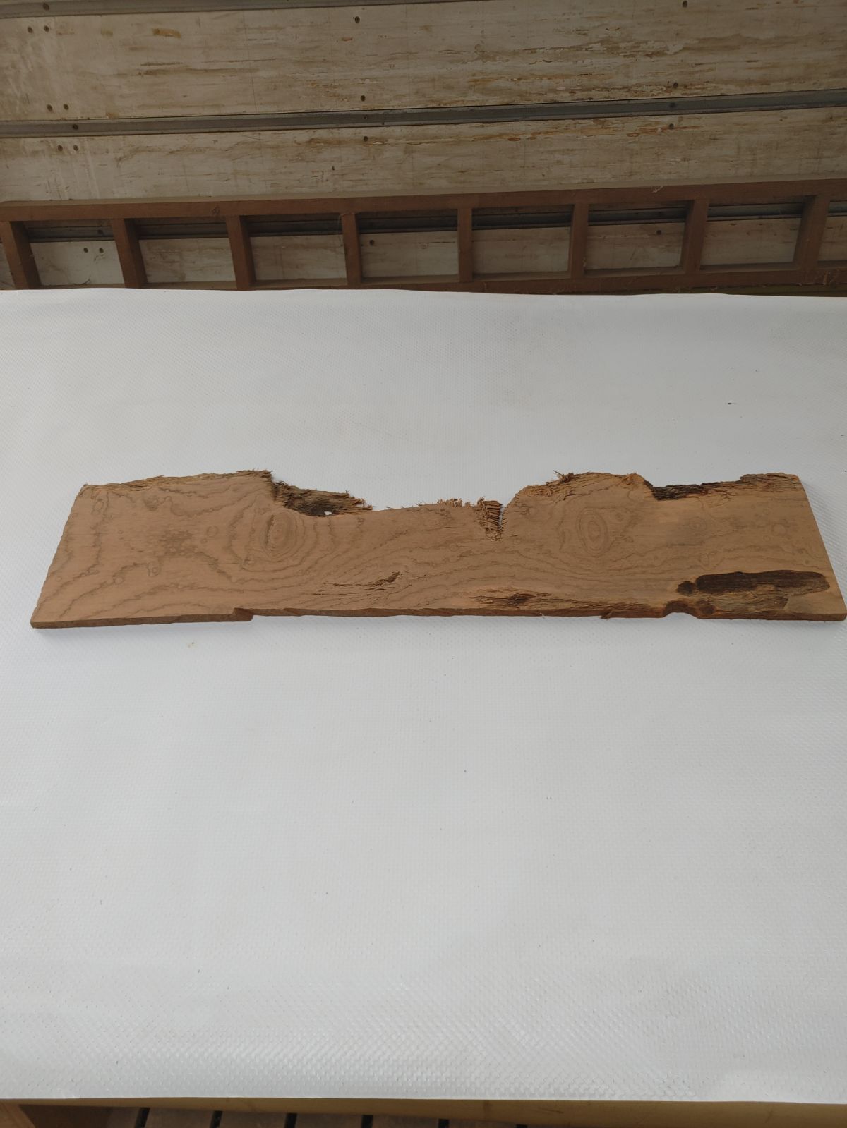 1960年代、邦画、スチール写真、マット、2種8枚、新品額付