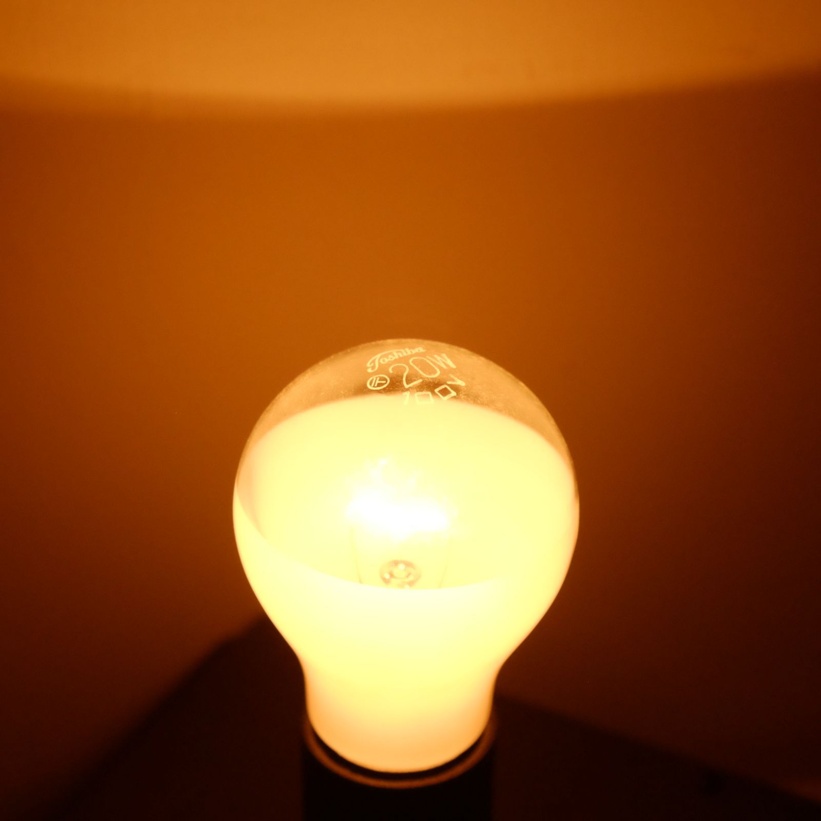 TOSHIBA 白熱電球 20ワット EFP20EN 2本入り TOSHIBA 白熱電球 20