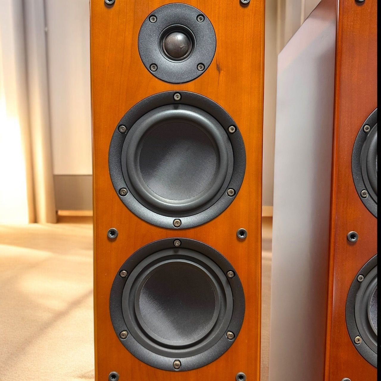 DENON トールボーイスピーカー SC-T55SG ペア ☆DENON デノン SC-T55SG