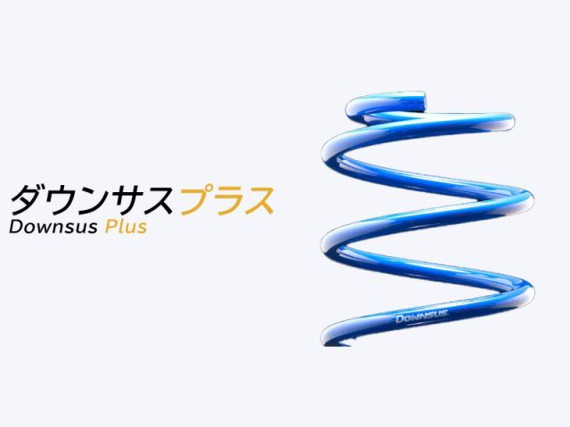 [エスペリア]GXPA16 GRヤリス_4WD 1.6L ターボ / RZ High perfomance(R2/9〜)用ダウンサスプラス[車検対応]