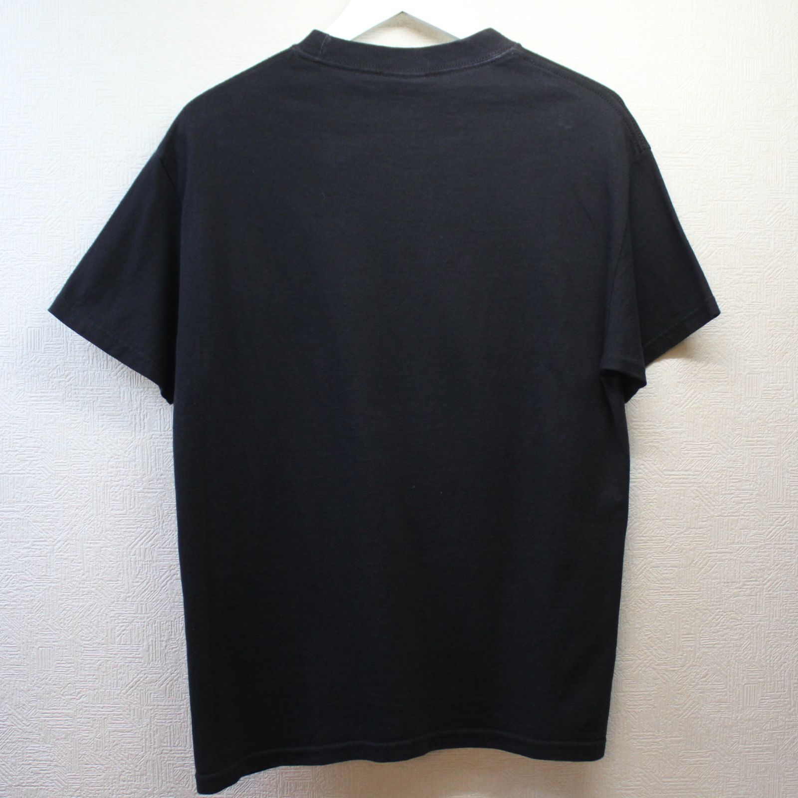 LIMP BIZKIT リンプ・ビズキット バンドTシャツ バンT ツアーT