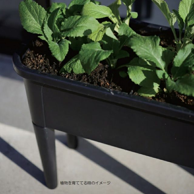 観葉植物用ポット