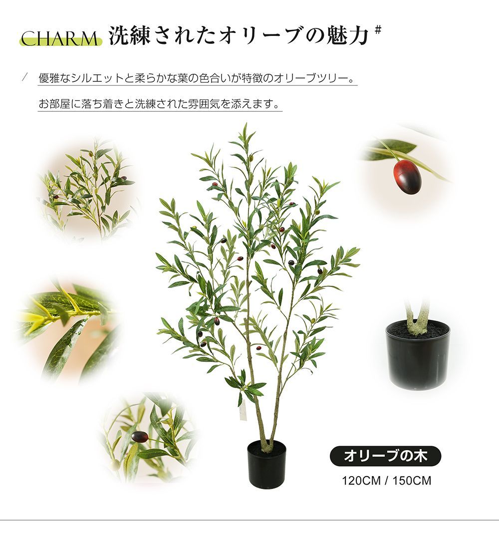 おしゃれ お祝い