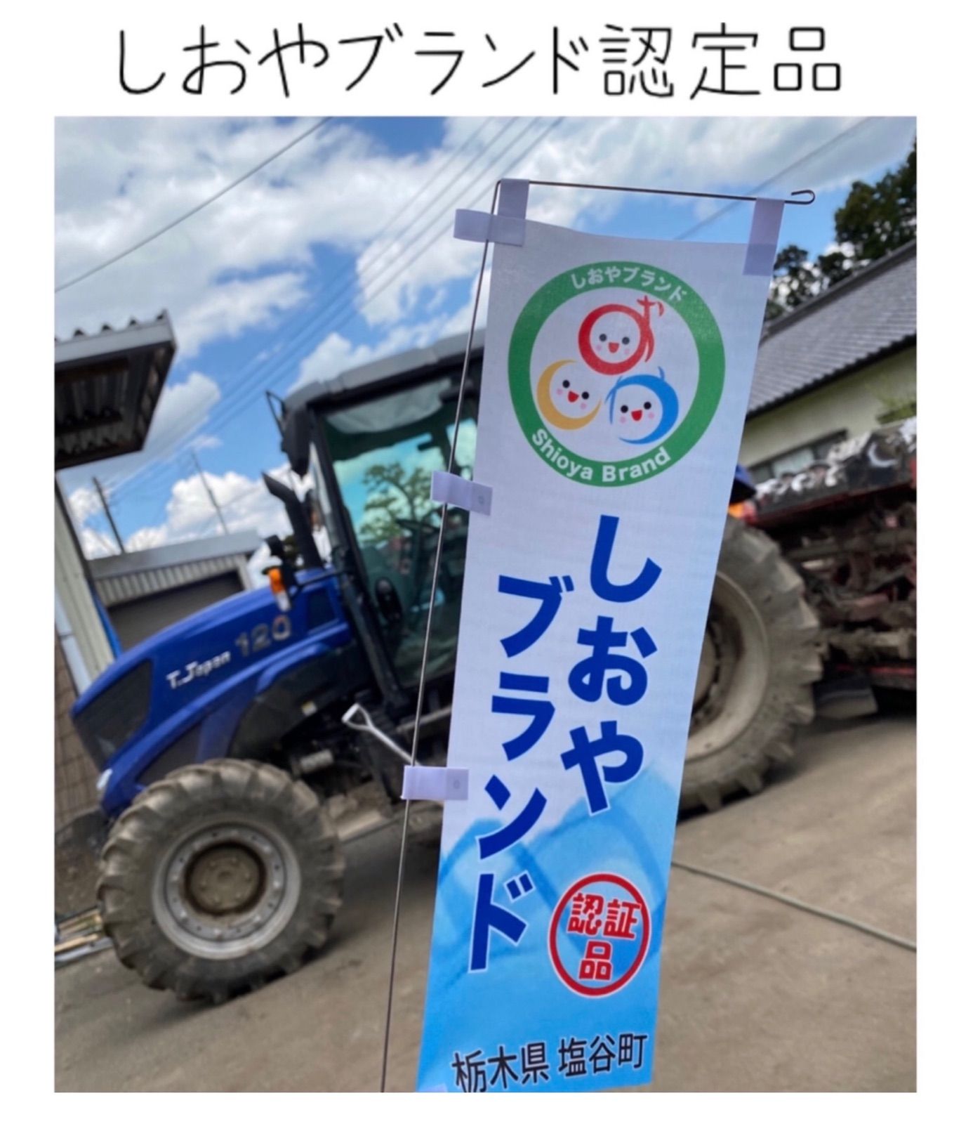 栃木県産ゆうだい21【特別栽培米】白米5kg×2(計10kg) - メルカリ