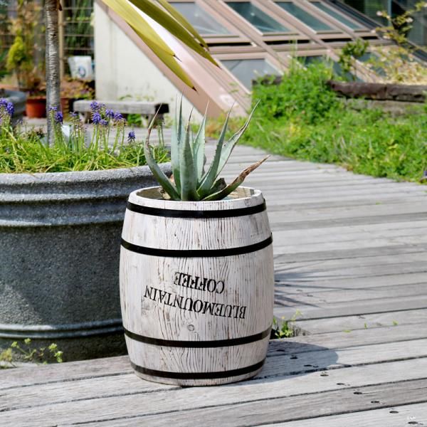 sABo　化粧石10kg TAIKOH 高級白玉石 白仙 2寸 40-60mm 10kg 化粧砂利 ホワイト 白