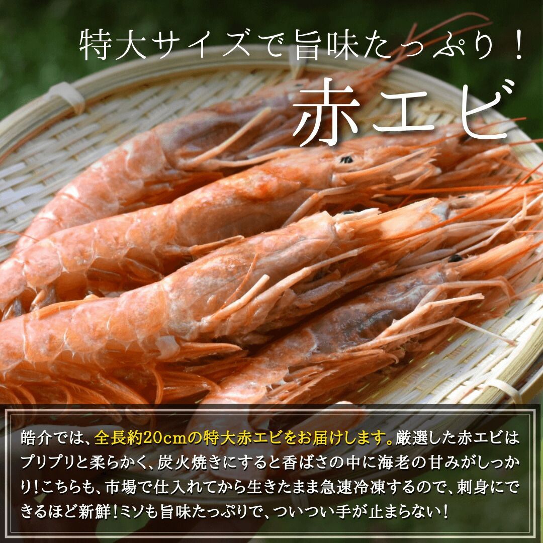 超特大・サンホルヘ湾の生赤エビ20尾セット【特殊CAS冷凍】海鮮BBQバーベキュー 刺身OK