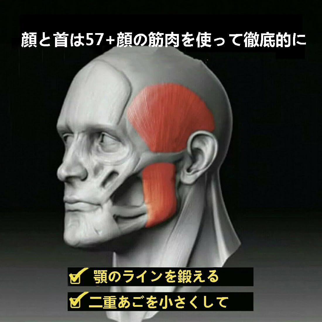 新品 GAOHOU 3個 顎 トレーニング あごエクササイザー フェイス