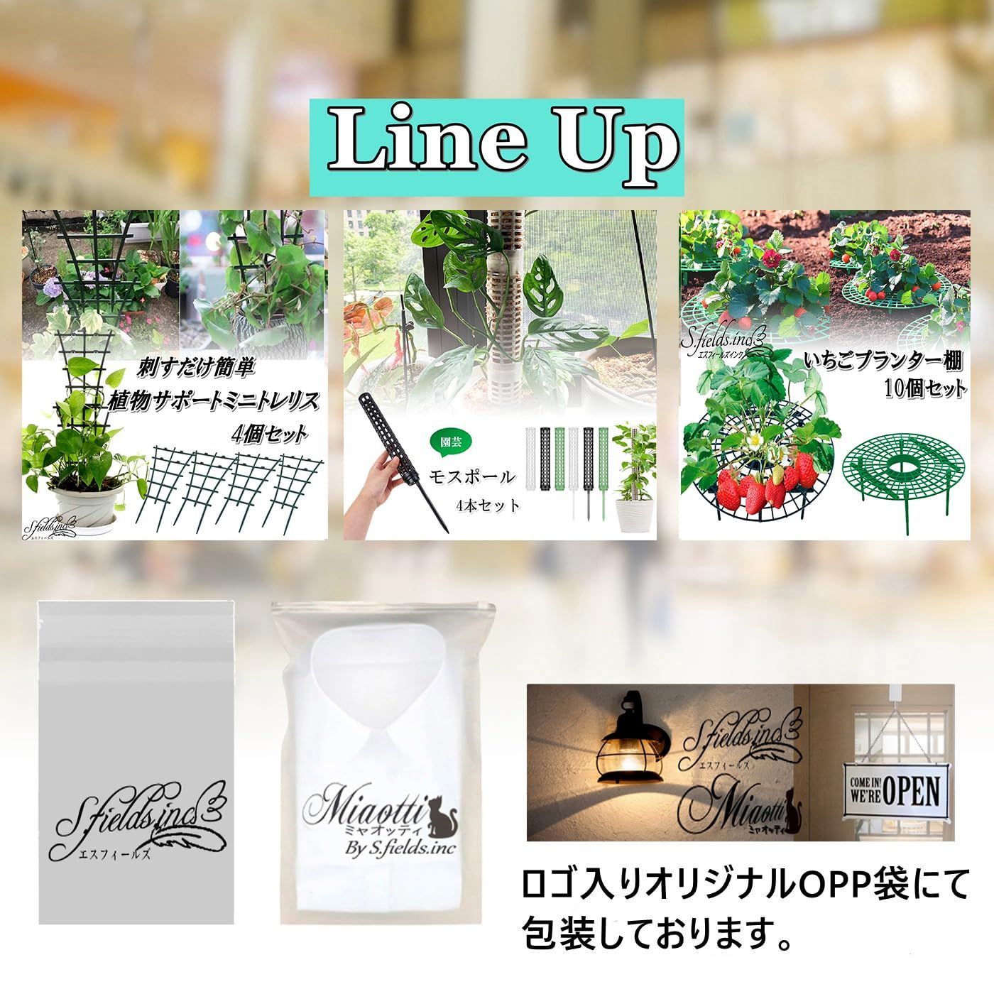4本セット 連結可 観葉植物 支柱 モンステラ プラスチック