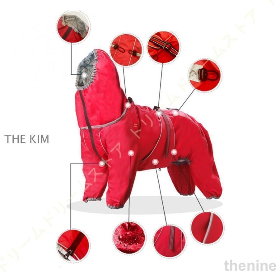 犬