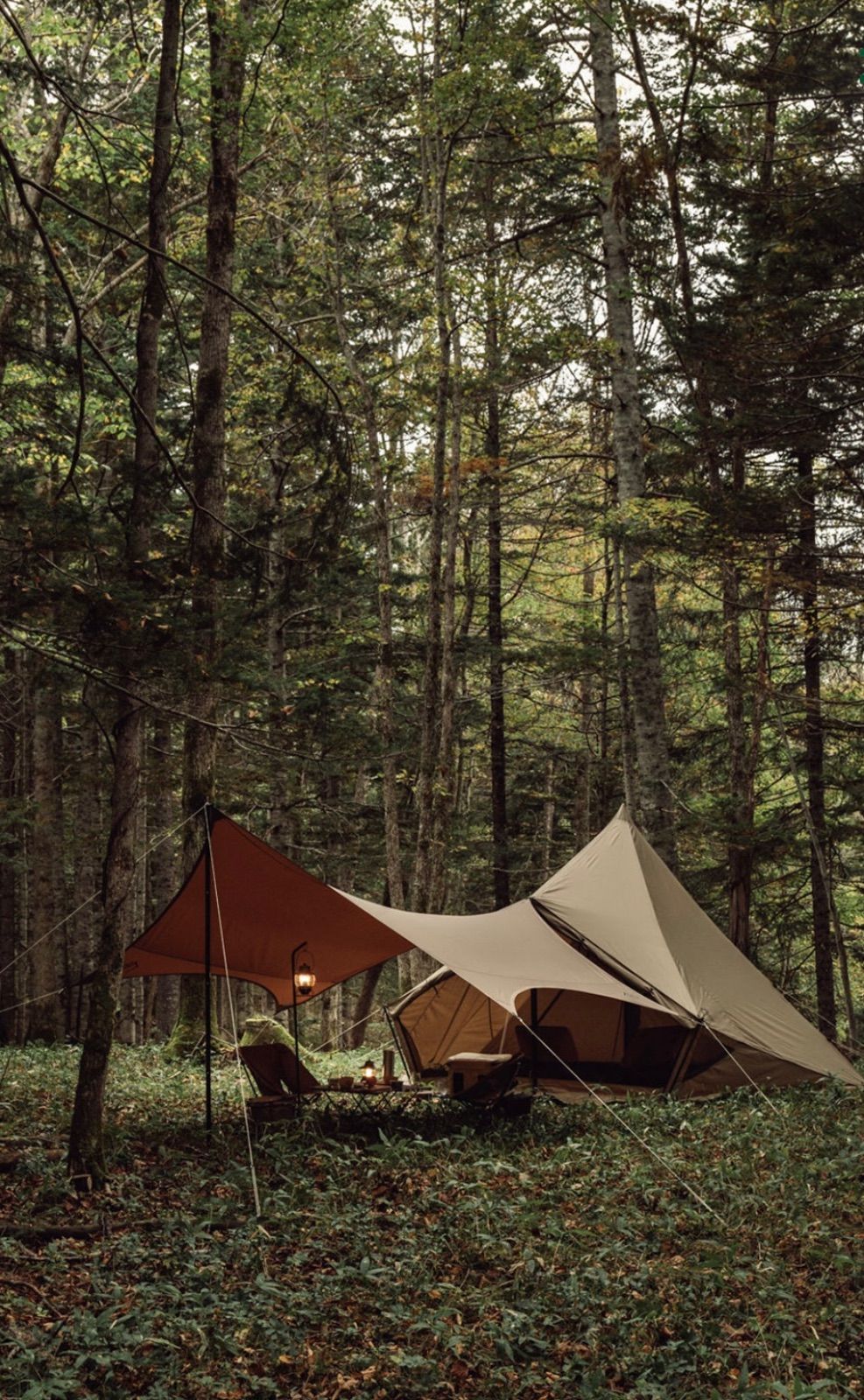 未開封オガワ ピルツ 12 Canadian East ティピーテント黒 オガワ ピルツ5