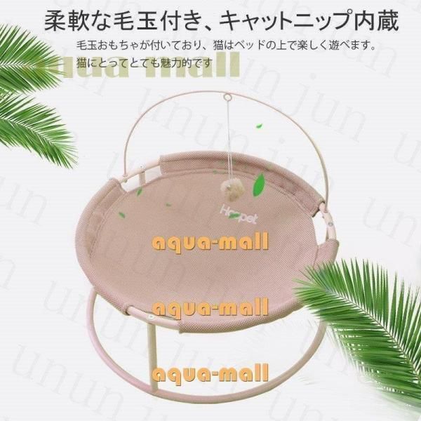 組立簡単 pet
