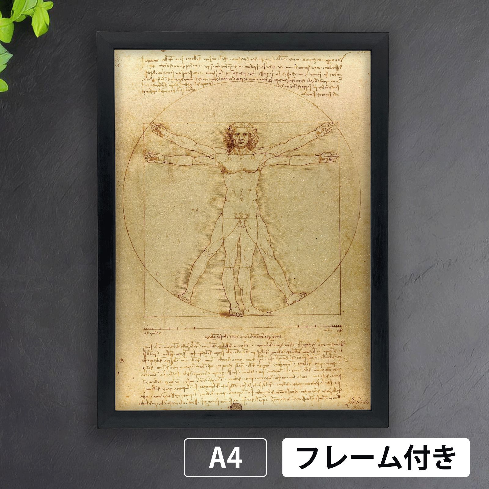 レオナルド・ダ・ヴィンチ Leonardo da Vinci『ウィトルウィウス