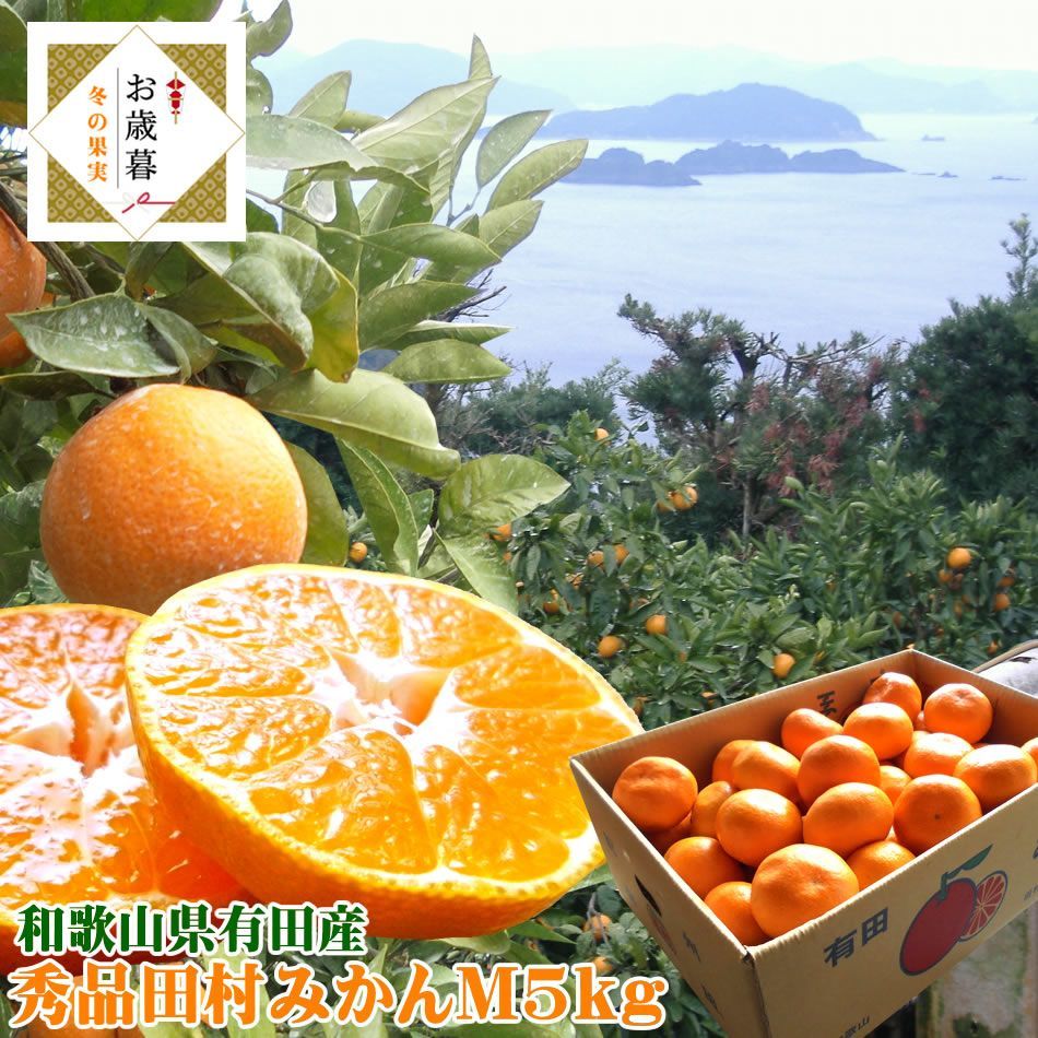 有田みかん 有田ミカン 有田蜜柑 みかん 田村みかん お歳暮に じゅわじゅわじゅわ〜っとあま〜い紀州有田産 上 秀品田村みかんＭ5kg 11月下旬より順次発送開始