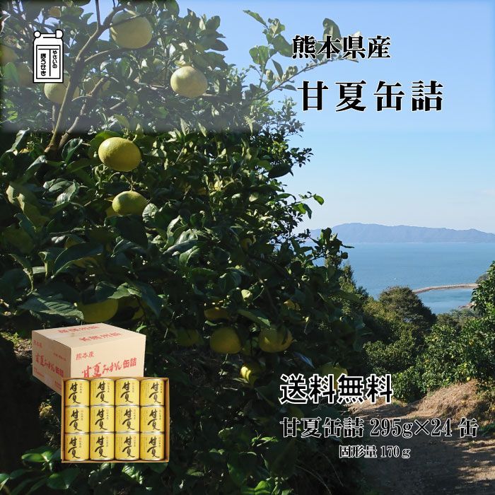 熊本県産【甘夏みかん缶詰】甘夏フルーツ缶詰め 『24缶詰セット』【化粧箱】 デコポン みかん 柑橘 JAあしきた デザート おやつ 高級スイーツ 贈り物 ギフト お中元 お歳暮