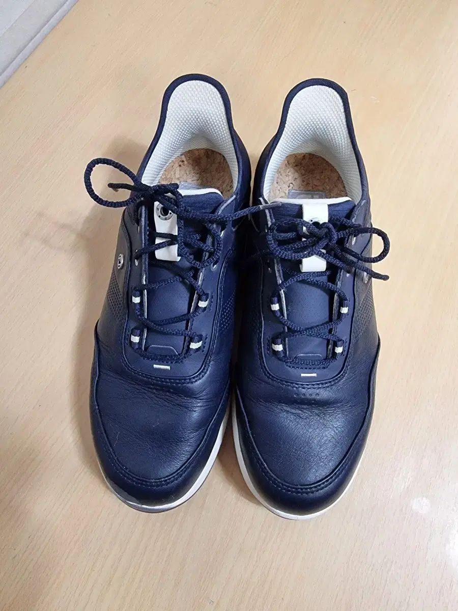 FootJoy(フットジョイ) ゴルフシューズ メンズ ストラトス 新品未使用