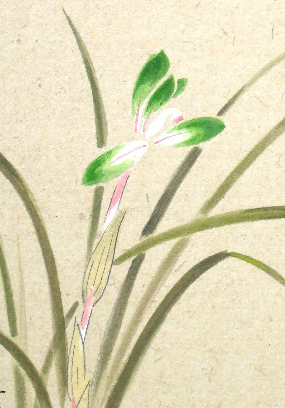 PEACE NOW コウモリ襟 バットカラー ワイシャツ PEACE NOW コウモリ襟