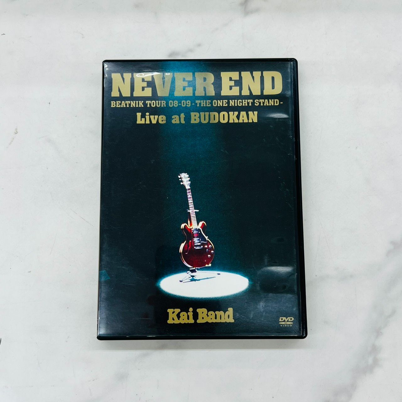 甲斐バンド NEVER END BEATNIK TOUR 08－09 －THE ONE NIGHT STAND