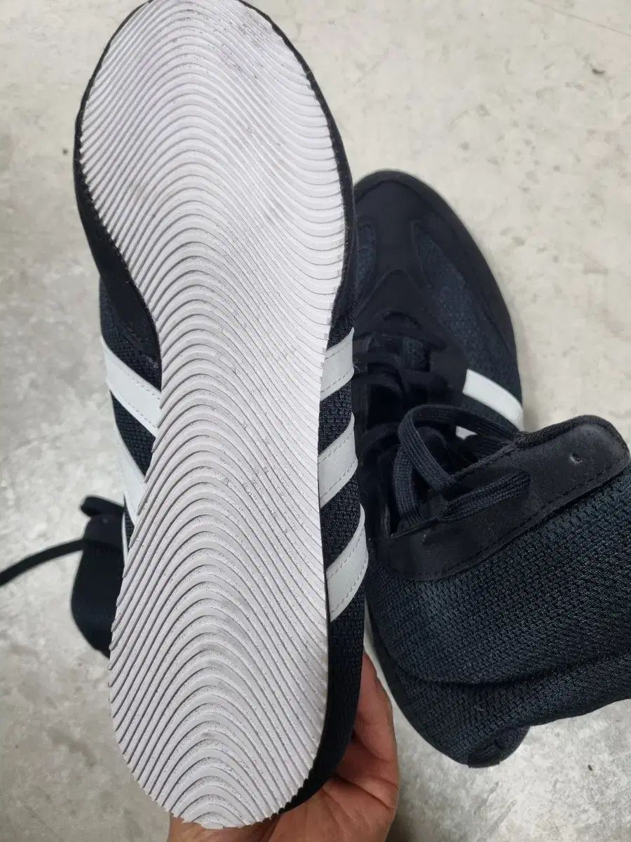 ボクシング ポスター 中川大資vs柴田明雄 佐々木基樹 三浦隆司 後楽園