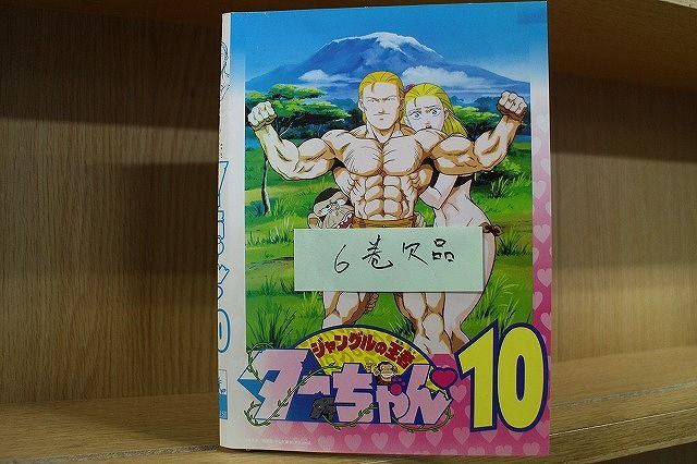 DVD ジャングルの王者 ターちゃん 1～10巻(6巻欠品) 9本セット