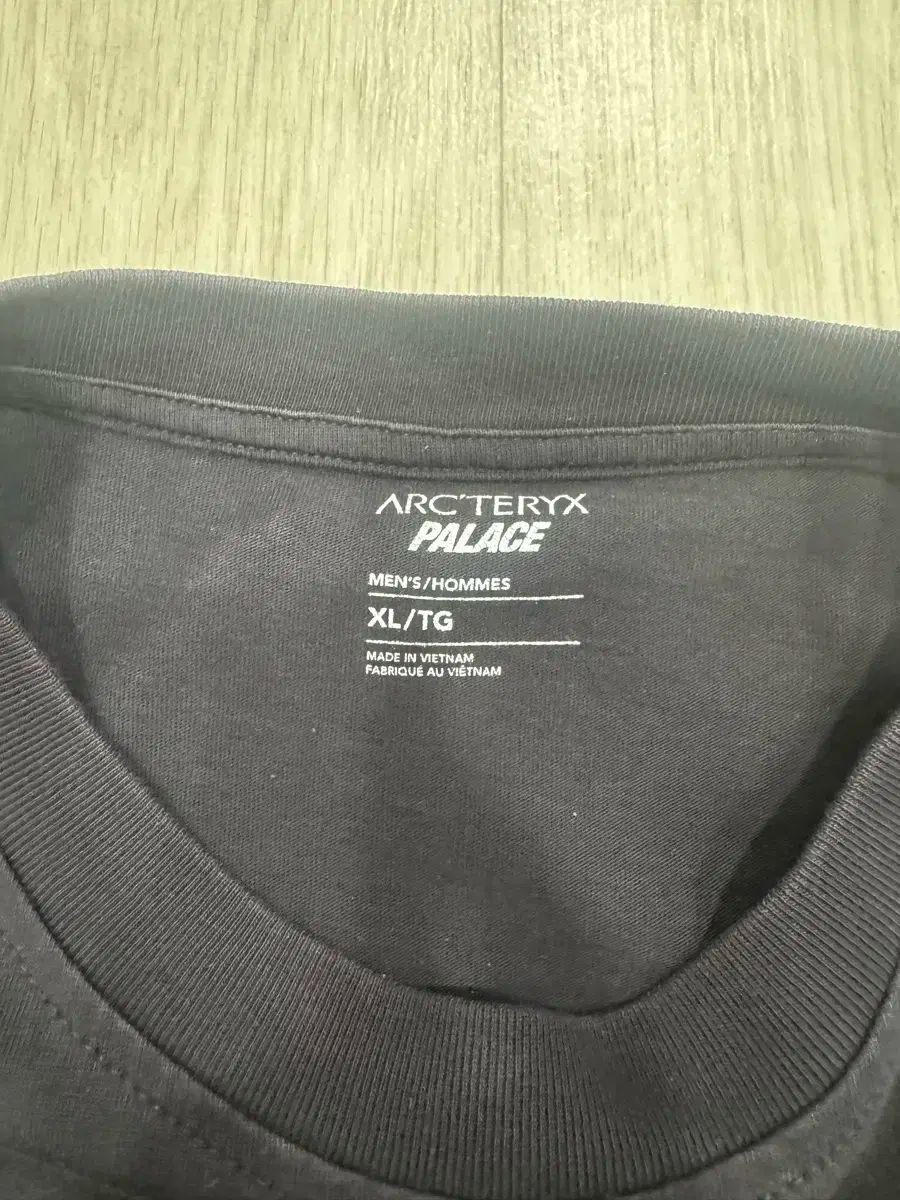 PALACE(パレス) ARC'TERYX(アークテリクス) Tシャツ XL - メルカリ