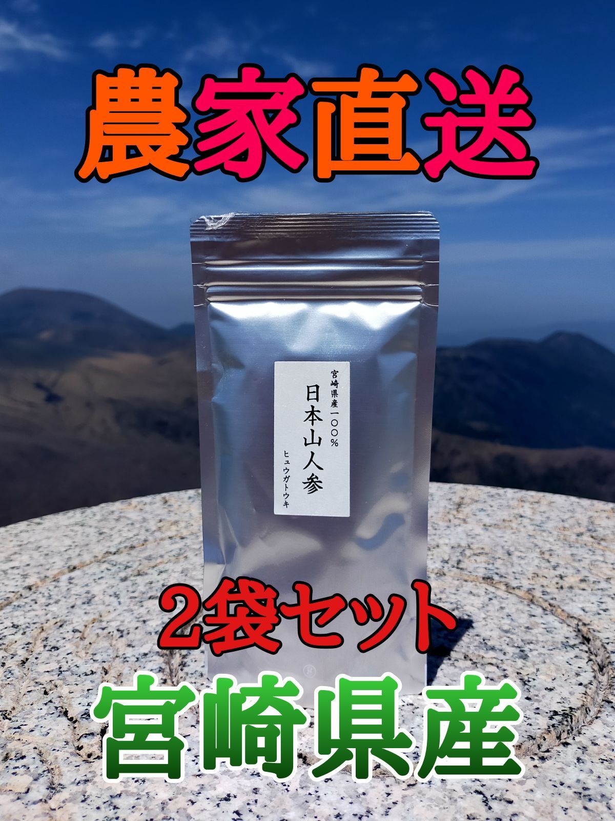 日本山人参（ヒュウガトウキ）パウダー50g×2袋セット - メルカリ