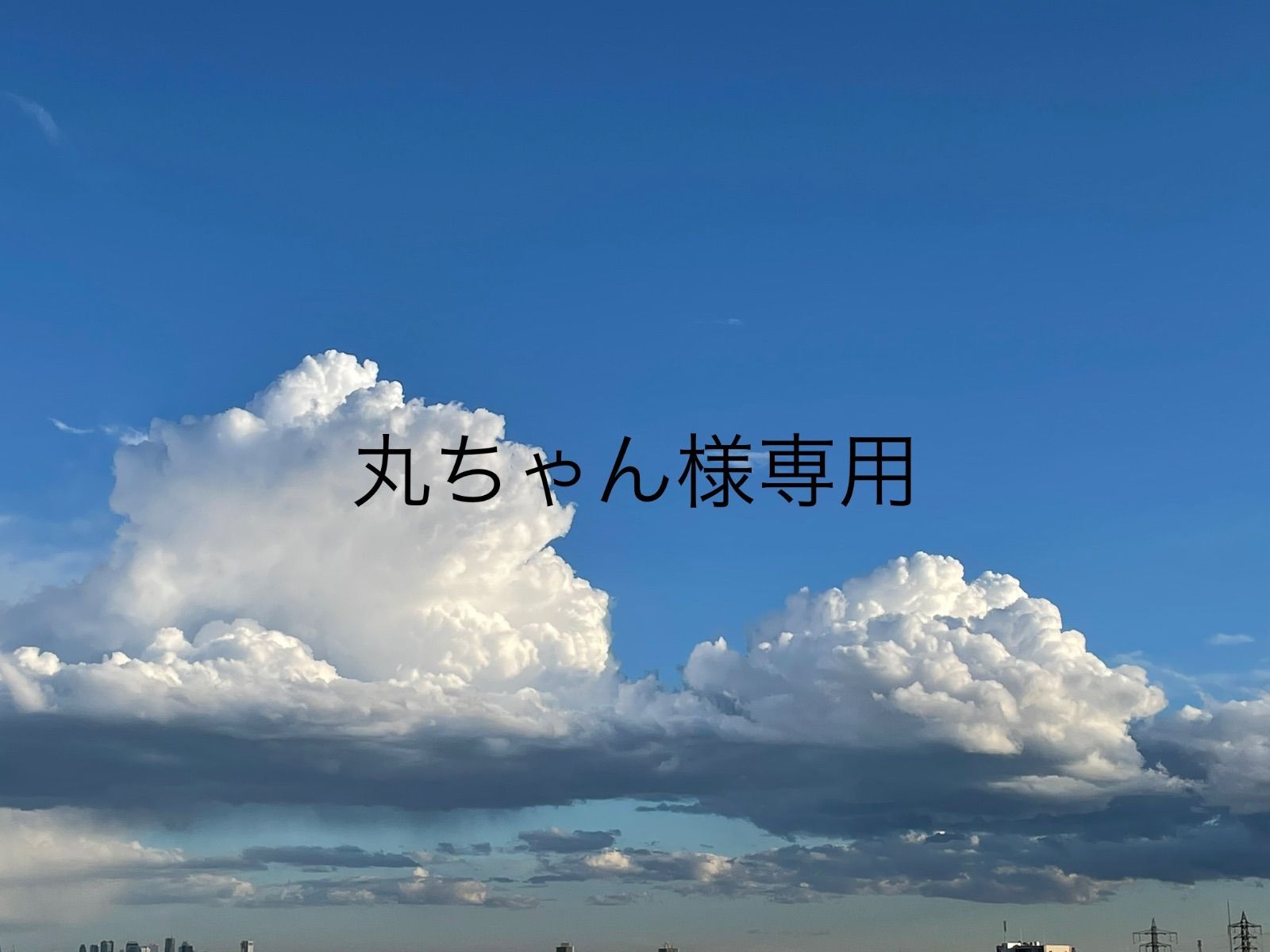 丸ちゃん様専用】【種子】アルブカ コンコルディアナム - C.F.G