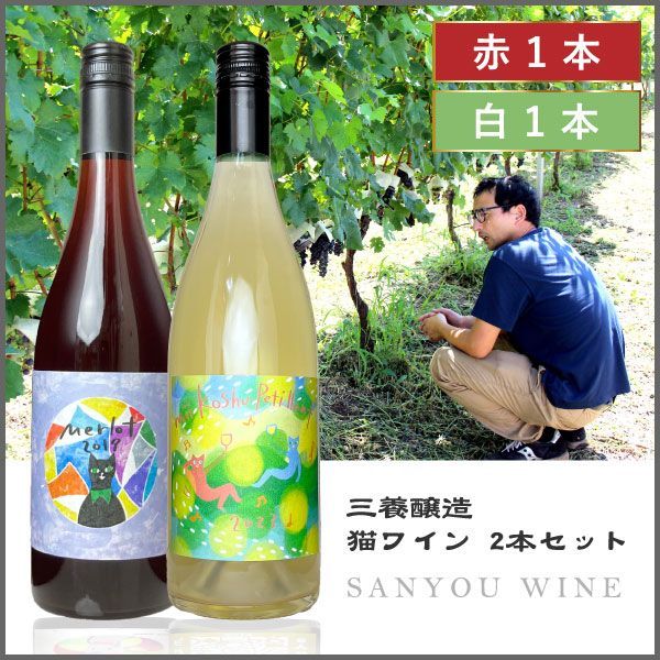 日本ワイン2本セット おしゃれなスパークリングワイン2本用ギフトBOX