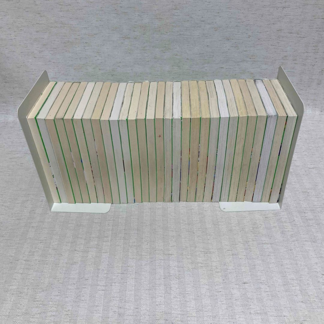 他 小説