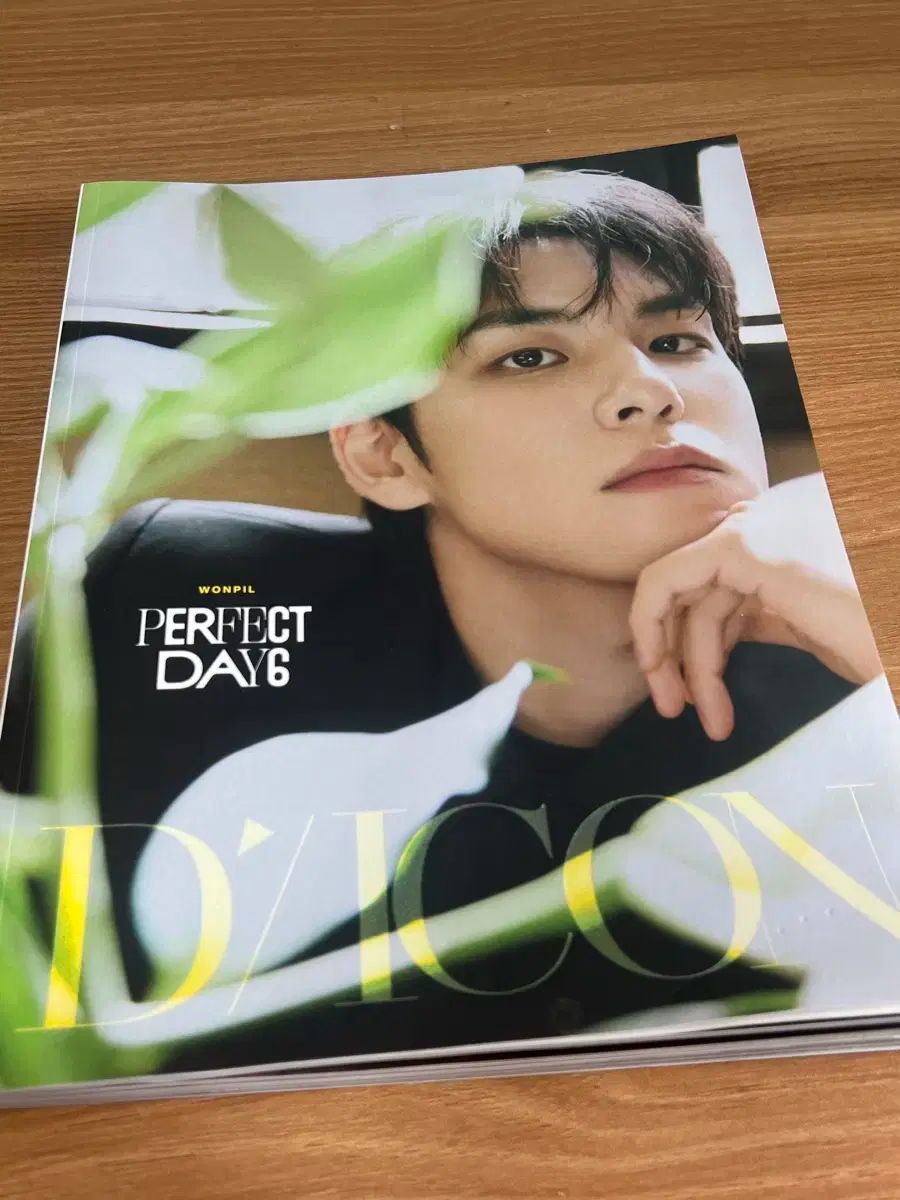 DICON DAY6 WONPILウォンピルAタイプ 日本語翻訳冊子付き外箱あり DICON DAY6 WONPILウォンピルAタイプ 日本語翻訳冊子付き外箱あり