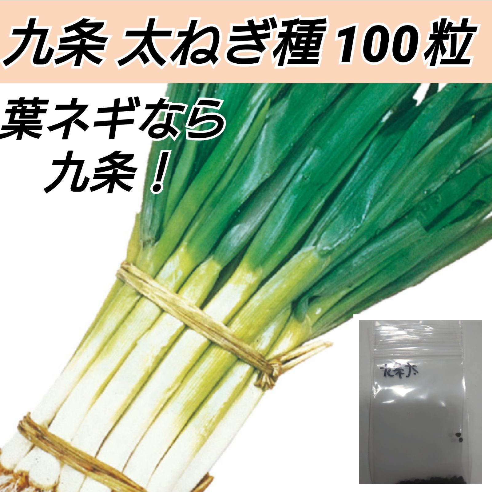 br>夏扇4号 ペレット6000粒【根深ネギ種】【サカタのタネ】【野菜の