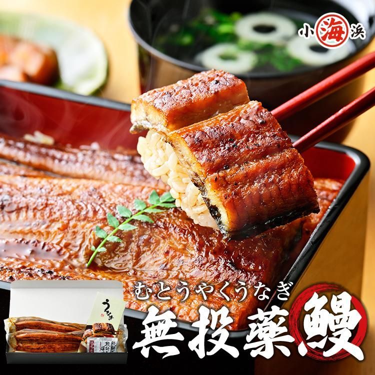 鹿児島県産 特大 うなぎ蒲焼き 約200g 2尾 化粧箱入 人気 長焼 2尾セット 鰻 メッセージカード無料 誕生日 贈り物 国産 ギフト