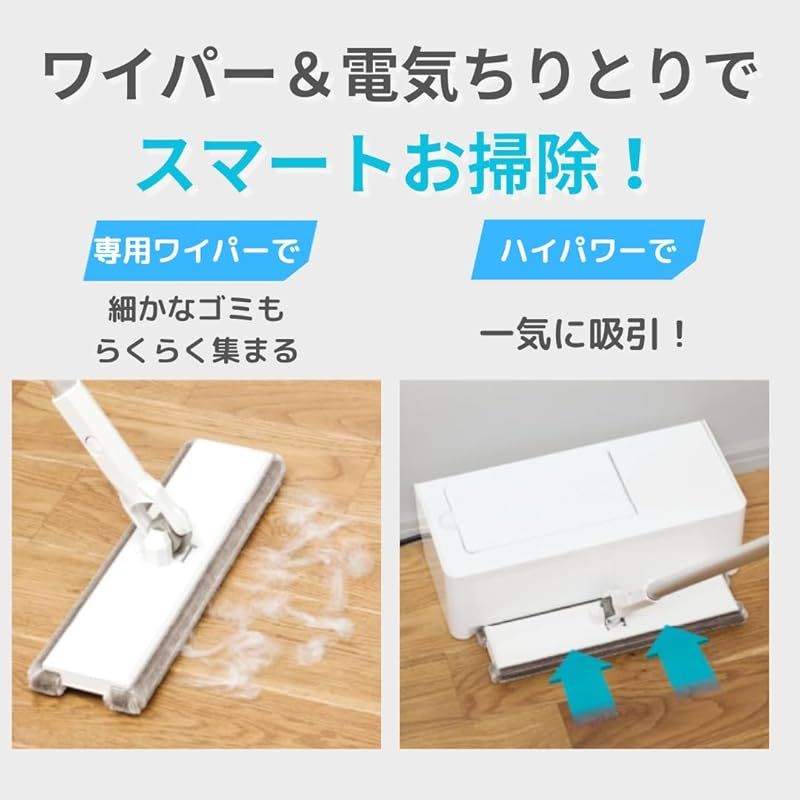 本体