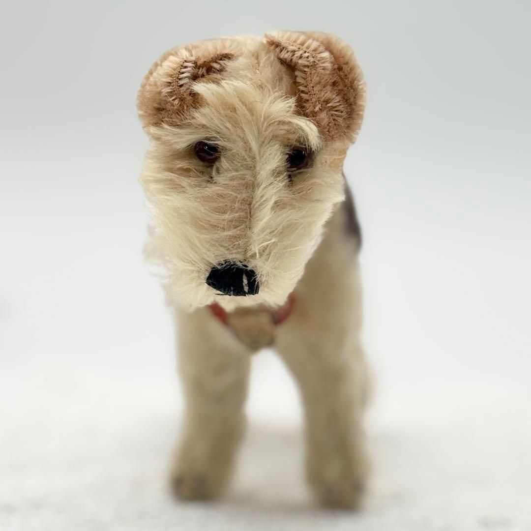 シュタイフ Foxy Foxterrier フォックステリアのフォクシー 犬 ビンテージ アンティーク Steiff STEIFF