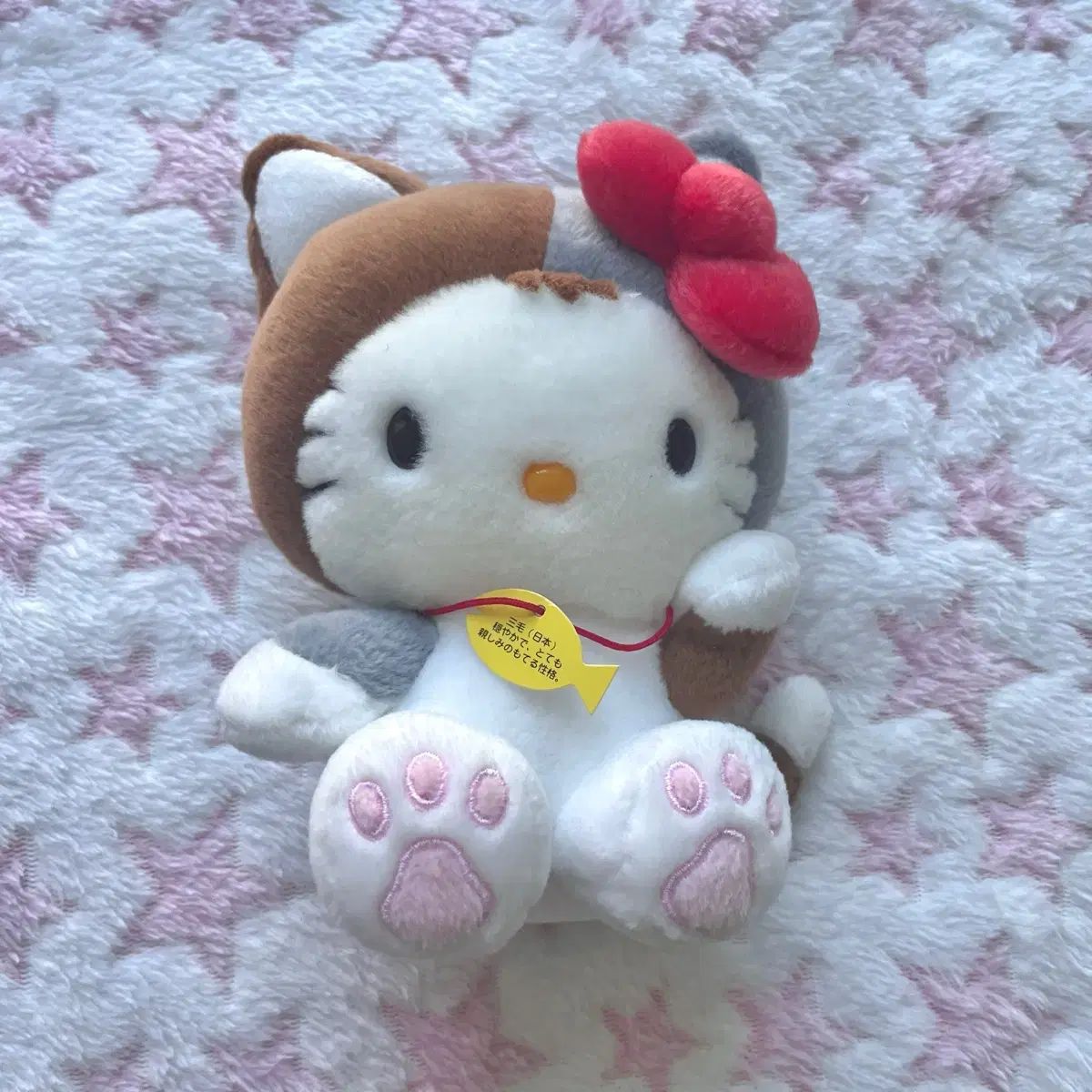 世界 猫の デイ キティ